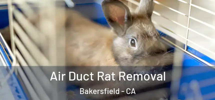  Air Duct Rat Removal Bakersfield - CA