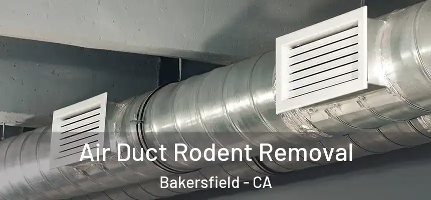  Air Duct Rodent Removal Bakersfield - CA