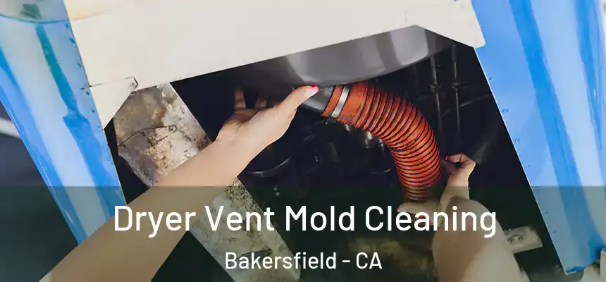  Dryer Vent Mold Cleaning Bakersfield - CA
