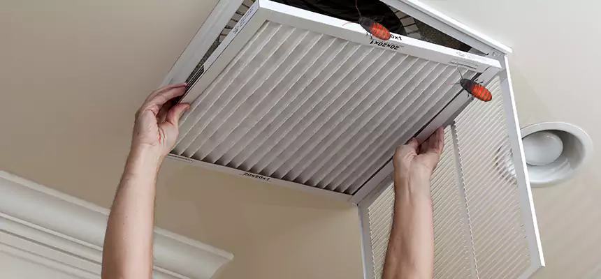Preventive Cockroach-Proofing for Ducts in Bakersfield
