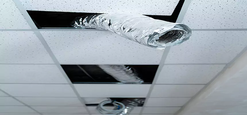 Affordable HVAC Sanitizing After Pest Removal in Bakersfield