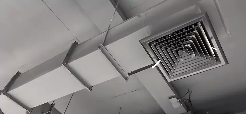 Our Pest Removal From Ducts Services in Bakersfield, CA