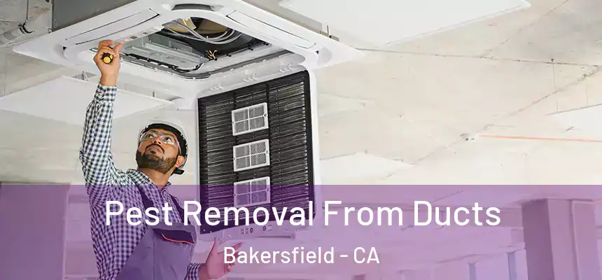  Pest Removal From Ducts Bakersfield - CA
