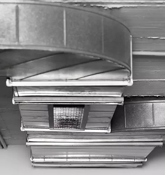 Professional Air Duct Pet Hair Removal in Bakersfield, CA